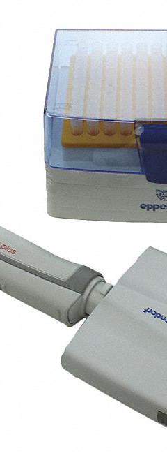 EPPENDORF Multichannel Pipettor: 8 Channels, 300 ul Capacity - Max, 0.2 ul Volume Increments (MPN 3125000052). Key specifications — Color: Orange; Brand: EPPENDORF; Pipetter Type: Manual Adjustable Volume; Autoclavable: Autoclavable; Product Type: Multichannel Pipettor.