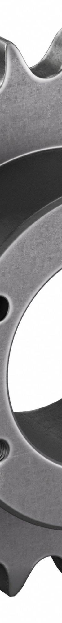 TRITAN Bushed Roller Chain Sprocket: For 80 Chain, 24 Teeth, 7.661 in Pitch Dia, 8.2 in Outside Dia (MPN 80SF24H). Key specifications — Brand: TRITAN; Required Bushing Series: SF.