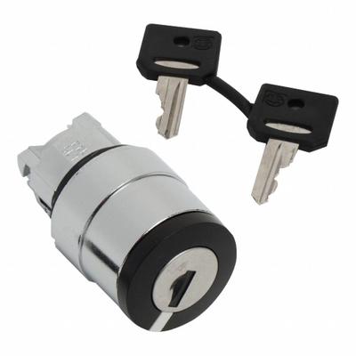 SCHNEIDER Keyed Selector Switch: 2 Position, 22 mm Panel Mounting Size - Panel-Mounted Key Switches without Contacts
