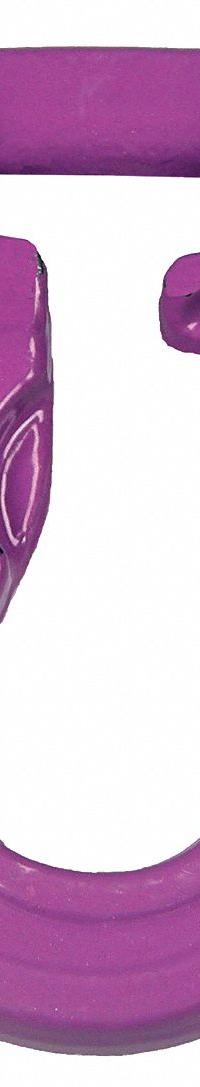 LIFT-ALL Sling Hook: 2,600 lb Working Load Limit, Alloy Steel, 1 1/8 in Material Thick, Purple (MPN DCH1). Key specifications — Color: Purple; Brand: LIFT-ALL; Visual Indicator Markings: None.
