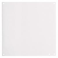 WIEGMANN Interior Panel: Back Panel Panel, 11 in Overall Ht, 11 in Overall Wd, Steel, Powder Coated (MPN P1212). Key specifications — Panel Style: Back Panel; Brand: WIEGMANN; Finish: Powder Coated; Manufacturer Part Number: P1212; Material: Steel.