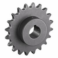 TRITAN Roller Chain Sprocket: 100, For 1 1/4 in Chain Pitch, 1 15/16 in Bore Dia, 20 Teeth, Steel (MPN 100BS20H X 1 15/16). Key specifications — Brand: TRITAN.