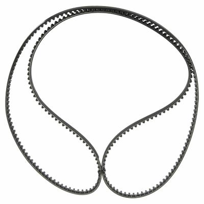 CONTINENTAL Timing Belt: One Side, Modified Curvilinear, Conti Falcon PD, 8 mm Pitch - GT Section Timing Belts