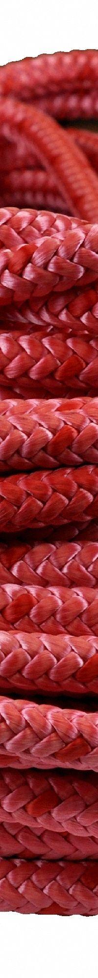 ALL GEAR Rigging and Climbing Rope: Braid, 5/8 in Dia, 2,200 lb Working Load Limit, Polyester, Red (MPN AG12SP58150WR). Key specifications — Brand: ALL GEAR; Rope Type: Static.
