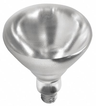 SHAT-R-SHIELD Incandescent Bulb: Incandescent, R40, Medium Screw (E26), 250 W Watt, 2700K - Reflector Heat Lamps
