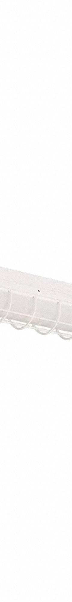 DAYBRITE Wire Guard: 4 ft Lg, White, For FluxSteam Strip (MPN FSSWG4). Key specifications — For Use With: FluxSteam Strip; Includes: Wire Guard; Accessory Type: Wire Guard; Finish: White; Brand: DAYBRITE.