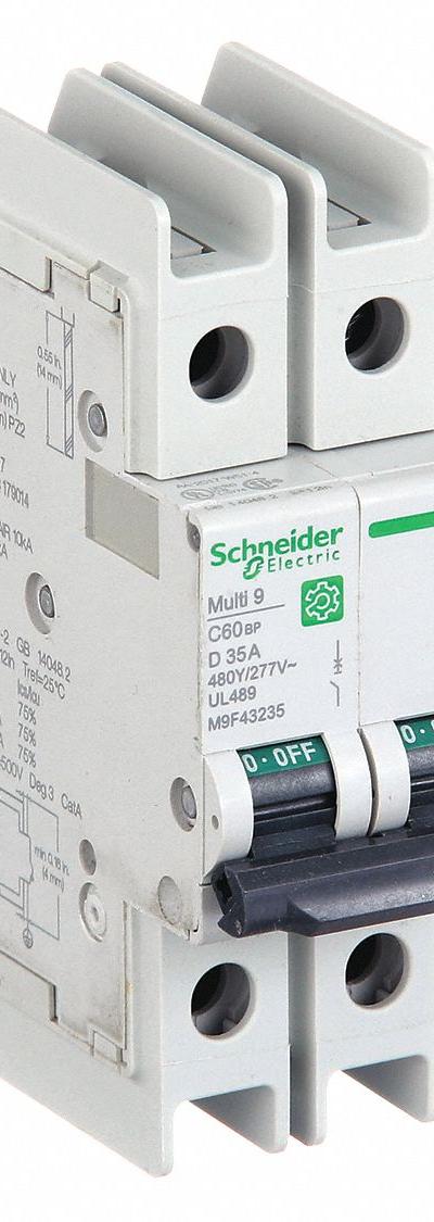 SCHNEIDER ELECTRIC IEC Miniature Circuit Breaker: 35 A Amps - D-Curve, 2-Pole UL489 DIN Rail-Mount Miniature Circuit Breakers