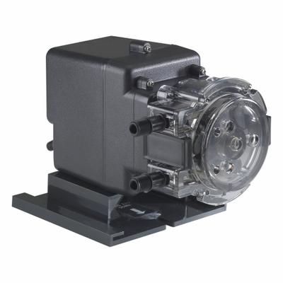 STENNER Peristaltic Chemical Metering Pump: 120V AC, 1/30 hp HP, 17 gpd Max. Flow Rate - Fixed Flow Peristaltic Chemical Metering Pumps