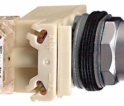 SCHNEIDER Illuminated Push Button: Illuminated - Illuminated Extended-Length Push Buttons