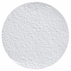 CYTIVA WHATMAN Glass Microfiber Filter with Binder: 934-AH RTU, 4.7 cm Dia, 1.5 um Pore Size (MPN 9907-047). Key specifications — Product Type: RTU Filter; Brand: CYTIVA WHATMAN.