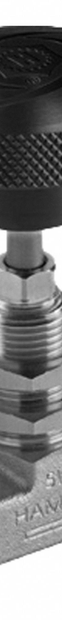 HAM-LET Plumbing Needle Valves: Inline Valve Body, 316 Stainless Steel, Integral Bonnet, FNPT x FNPT (MPN H-310U-SS-N-V-1/8-RS). Key specifications — For Media: Liquid; Standards: ISO 2006(E); Brand: HAM-LET; Valve Series: H300U; Stem Type: V-Stem; Connection Gender - Side 2: Female; Connection Gender - Side 1: Female; Connection Type - Side 1: NPT.