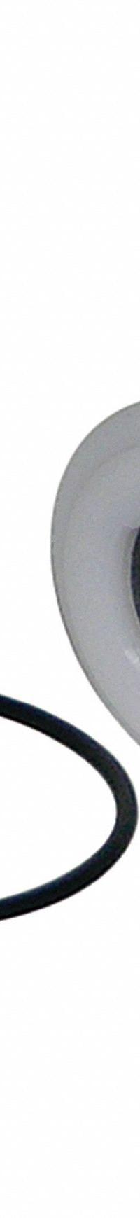 WATTS Backflow Preventer Repair Kits: First Check Kit, 1KYE6/793HG6, Check Assembly/Cover O-Ring (MPN RK SS009M3-CK1-1/4-3/4). Key specifications — Compatible Valve Size: 1/4 in to 3/4 in; Compatible with Grainger Part No.: 1KYE6; Compatible with Series: RK-SS009; Compatible with Mfr. Model No.: SS009M3; Includes: Cover O-Ring.