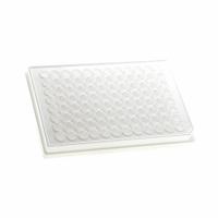 MTC BIO Well Plate: Sterile, 96 Wells, 0.34 mL, 6.9 mm Dia, RNase/DNase Free, Round, Polystyrene (MPN DP35F-96-WS-IWL). Key specifications — attr1383549: MTC BIO; attr1395490: White; attr1383559: Yes; attr1395487: Round; attr1434131: Polystyrene.