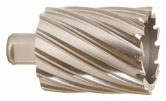 SLUGGER BY FEIN Annular Cutter: 2 5/16 in Cutter Dia, 2 in Max Cutting Dp, Bright, High Speed Steel (MPN 63134587002). Key specifications — attr253884: No; attr253885: Bright; attr253886: High Speed Steel; attr253887: Weldon Flat; attr253888: Fractional Inch; attr277149: SLUGGER BY FEIN.