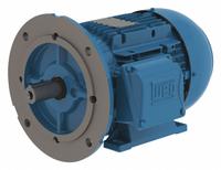 WEG Metric Motor: 3 hp, C-Face/Rigid Base Mount, 90L Frame Size, Totally Enclosed Fan Cooled (MPN 13984021). Key specifications — Brand: WEG; Nameplate Voltage @ 60 Hz: 460V AC; Full Load Amps @ 60 Hz: 3.85 A; Nameplate RPM @ 60 Hz: 3480 RPM; Motor Enclosure: TEFC.