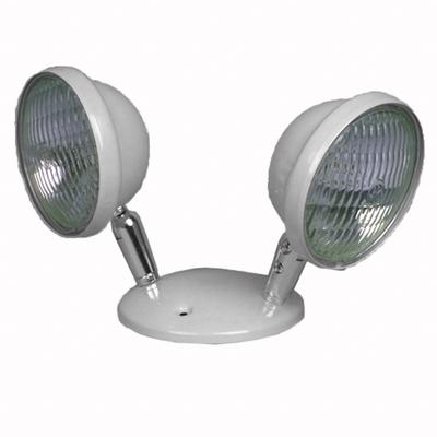 BIG BEAM Remote Head: LED, Steel, Ceiling/End/Wall, 5 W Lamp Watt, 2 Lamps, 6 V - Steel Remote Heads