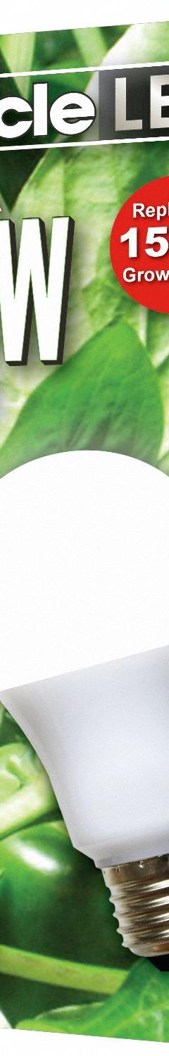 LED Grow Bulb: LED, A19, 120V, Full/Broad, 150 W Incandescent Watt Equivalency (MPN 601826). Key specifications — Plant Growth Application: Height Control; Brand: MIRACLE LED; Bulb Shape: A19; Spectrum: Full/Broad.