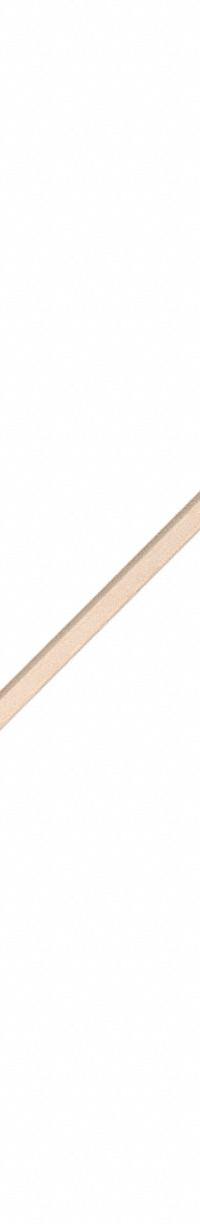 HYDE Scraper: Bld. Mat. Carbon Steel, Hdl. Mat. Hardwood, Stiff, Straight Bld. Shape (MPN 19205). Key specifications — attr1004902: HYDE; attr1014703: Wood; attr1017570: Standard End; attr1029655: Straight; attr1034073: Straight.
