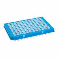MTC BIO PCR Well Plate: Non-Sterile, 96 Wells, 0.25 mL, 5.46 mm Dia, RNase/DNase Free, Round (MPN P9096-HSW). Key specifications — Brand: MTC BIO; Body Color: White; RNase/DNase Free: Yes; Well Shape: Round; Material: Polypropylene.