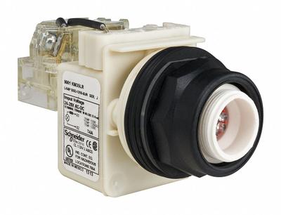 SCHNEIDER Pilot Light: 30 mm Panel Mounting Size, No Lens Included, LED - LED Pilot-Lights without Lenses