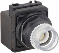 DAYTON Extended Push Button: Clear, 30 mm Mounting Size, Non-Metallic, Momentary (MPN 30G373). Key specifications — Brand: DAYTON; Action: Momentary; Series: Dayton; Push Button Material Type: Non-Metallic.