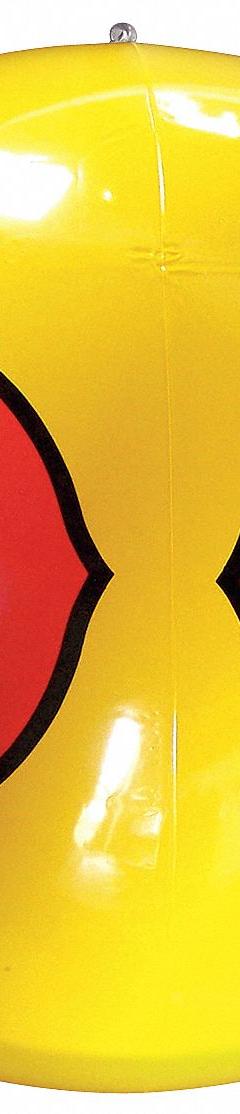 BIRD-X Visual Bird Repellers: Outdoor Use, Yellow, Vinyl (MPN YELLOW SCARE EYES)