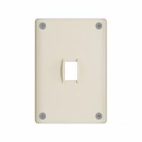 LEGRAND Wall Plate: Toggle, 1 Gang, Ivory, Jumbo Size (MPN WSP31S1IVYPS). Key specifications — Brand: LEGRAND; Material: Stainless Steel; Includes: Torx Security Screws.