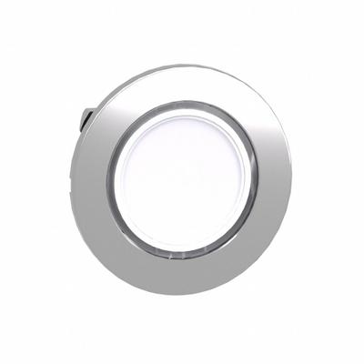 SCHNEIDER Flush Push Button: 30 mm Mounting Size, Metallic - Illuminated Flush-Mount Push-Button Operators