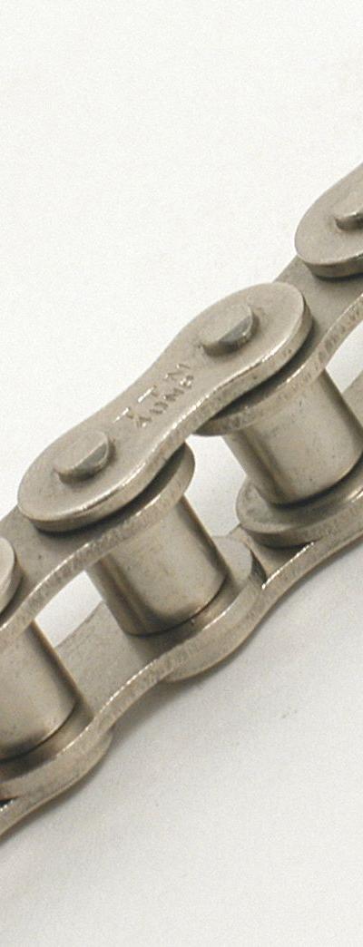 TRITAN Roller Chain: Single Strand - Anti-Corrosion Roller Chains