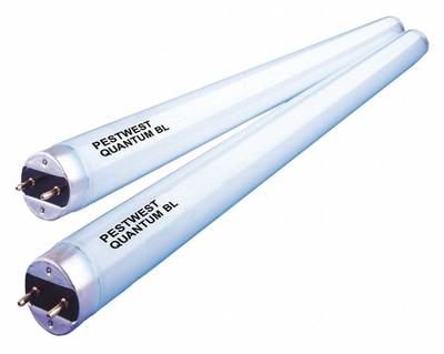 DIVERSEY Replacement Bulb: (2) Repl Bulbs, 15 W, 18 in Overall Ht, 4 1/8 in Overall Wd - Electronic Insect Killer Accessories