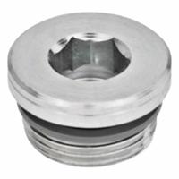 JW WINCO Threaded Plug: Steel, FPM Seal, Type G, 3/8 in Thd, Internal Hex, 22 mm Drive Size (MPN 749-G3/8-B). Key specifications — attr1303757: Steel; attr1303744: JW WINCO; attr1303766: 3/8 in; attr1303749: Internal Hex; attr1303767: Type G; attr1303762: FPM.