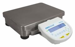 ADAM EQUIPMENT Compact Bench Scale: 12,000 g Capacity, 0.1 g Readability, 0.2 g Repeatability, Metal (MPN NBL 12001e). Key specifications — Brand: ADAM EQUIPMENT; Display Type: LCD.