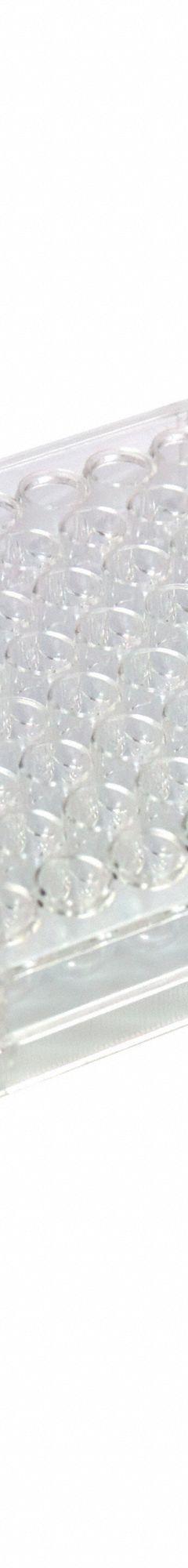 CAPLUGS 96-Well Flat Microplates: Non-Sterile, 96 Wells, 0.37 mL, 85 mm Dia, Square, Polystyrene (MPN 290811501FE1). Key specifications — Brand: CAPLUGS; Body Color: Natural; RNase/DNase Free: No; Well Shape: Square; Material: Polystyrene.