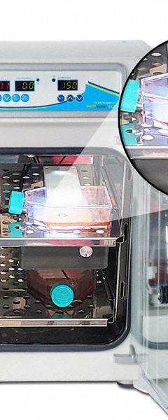 INCUVIEW Integrated Microscope Shelf: Incubators (MPN H3565-180-LCI). Key specifications — Compatible with Product Type: Incubators; Product Type: Integrated Microscope Shelf; Brand: INCUVIEW.