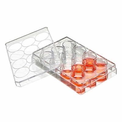 GLOBE SCIENTIFIC Well Plate: Sterile, 12 Wells, 1.14 mL, RNase/DNase Free - Cell Culture Plates