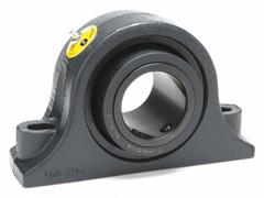MOLINE BEARING Pillow Block Bearing: 2 3/4 in Bore, Fixed, Cast Iron, 3 1/4 in Shaft Ht, 2 Holes (MPN 19221212). Key specifications — Maximum Speed: 1,600 RPM; Mounting Bolt Size: 3/4 in; Brand: MOLINE BEARING.