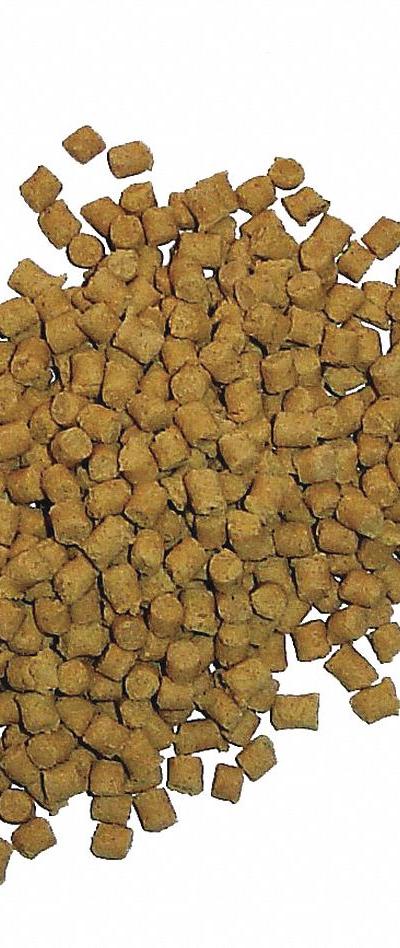 BIRD BARRIER Pigeon Bait: Granules - Bird Birth Control