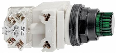 SCHNEIDER Illuminated Push Button: Illuminated, Flush Profile, Non-Metallic, 30 mm - Illuminated Flush-Mount Push Buttons