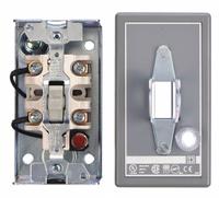 SQUARE D Manual Motor Switch: 2 Poles, 30 A, 1 NEMA Rating, Pilot Light: Red Light (115V AC) (MPN 2510KG1A). Key specifications — Brand: SQUARE D; Maximum Voltage Rating: 230V DC; Mounting Style: Surface; Pilot Light: Red Light (115V AC); Enclosure Material: Painted Steel.