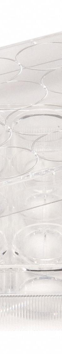 CELLTREAT Well Plate: Sterile, 24 Wells, 1.5 mL, RNase/DNase Free, Tissue Culture Treated (MPN 229524). Key specifications — Brand: CELLTREAT; Body Color: Colorless; RNase/DNase Free: Yes; Material: Polystyrene.