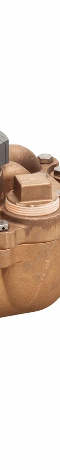 BADGER Turbine Flowmeter: Flow Meter, Water, Bronze, 2 in Flange, 2 in Connection Size, Flange, EPDM (MPN 109-3563). Key specifications — Display Type: Digital; Brand: BADGER; O-Ring Material: Ethylene Propylene; Accuracy: +/-1.5%; Seal Material: EPDM; Unit Of Measure: Gallons.
