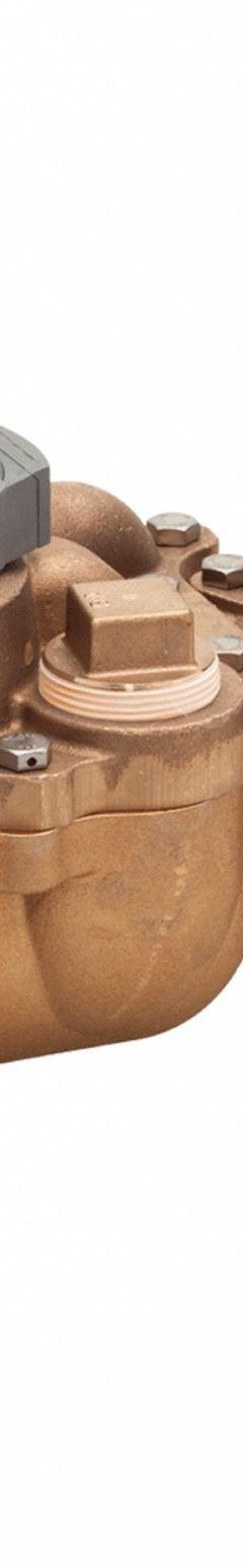 BADGER Turbine Flowmeter: Flow Meter, Water, Bronze, 2 in Flange, 2 in Connection Size, Flange, EPDM (MPN 109-3563). Key specifications — Display Type: Digital; Brand: BADGER; O-Ring Material: Ethylene Propylene; Accuracy: +/-1.5%; Seal Material: EPDM; Unit Of Measure: Gallons.