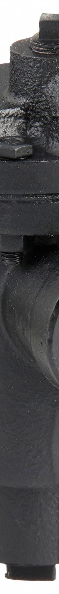 Steam Trap: Cast Iron, 3/4 in FNPT, 570 lb/hr, 150 psi Max., 450°F Max., Strainer Not Included (MPN B0150A-3). Key specifications — Installation Orientation: Horizontal; Brand: BELL & GOSSETT; Configuration: In-line.