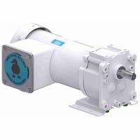LEESON AC Gearmotor: Parallel, Single Output Shaft, PSC, TEFC, 16 RPM, 391 in-lb Max Torque, CW/CCW (MPN M1145138.00). Key specifications — Brand: LEESON; Full Load Current: 2.1/1.1 A.