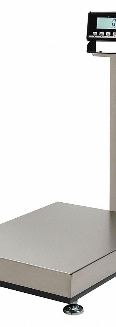 MEASURETEK Shipping Scale: 150 lb Wt Capacity - Shipping Bench Scales with Column-Mounted Indicator