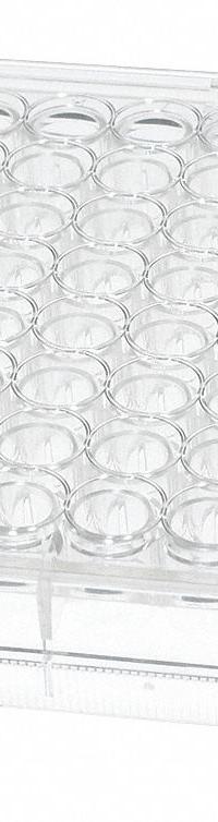 CELLTREAT Well Plate: Sterile, 96 Wells, 300 mL, 127.8 mm Dia, RNase/DNase Free, Round, Polystyrene (MPN 229190). Key specifications — Brand: CELLTREAT; Body Color: Colorless; RNase/DNase Free: Yes; Well Shape: Round; Material: Polystyrene.