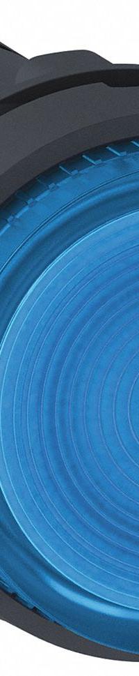 SCHNEIDER Extended Push Button: Blue, 22 mm Mounting Size, Non-Metallic, Momentary (MPN XB7NW36B1). Key specifications — Brand: SCHNEIDER; Action: Momentary; Series: XB7; Push Button Material Type: Non-Metallic.