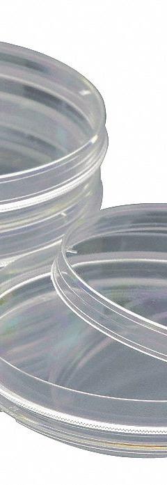 Petri Dish: 100 mm Dia, 20 mm Overall Ht, Tissue Culture Treated, Grip Ring, Polystyrene, Sterile (MPN 229623). Key specifications — Includes: Grip Ring; Material: Polystyrene; Brand: CELLTREAT; Surface Type: Tissue Culture Treated.