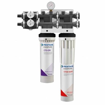EVERPURE Water Filtration System: 5 gpm, FNPT, 25 7/8 in Overall Ht - Multi-Purpose Water Filter Systems