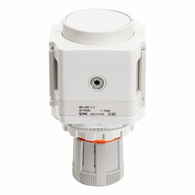 SMC Regulator: Die-Cast Aluminum, 1/2 in NPT, 7.251887 psi to 123.2821 psi - SMC FRL Air Regulators